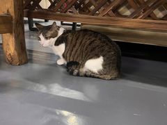 -蓝天射箭馆·专业射箭运动(诚丰广场店)