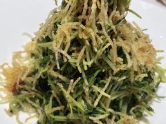 巧拌豆苗-四季民福烤鸭店(王府井灯市口店)