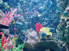 -海合安青岛极地海洋公园
