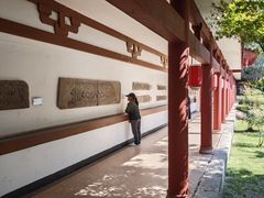 -徐州汉画像石艺术馆