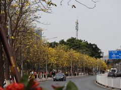 -洲头咀公园