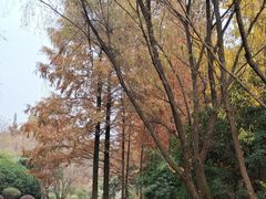 -宝界山林公园