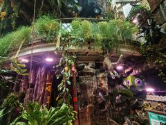 -正佳雨林生态植物园