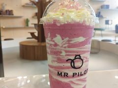 -飞行喵MR PILOT|猫舍·猫咖(静安大融城店)