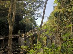-广州市石门国家森林公园