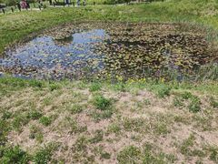 -高句丽文物古迹旅游景区