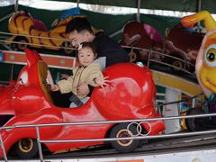 -武汉紫薇都市田园