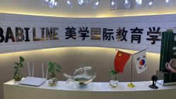 -babiline芭比莱恩半永久纹眉纹唇发际线
