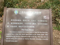 -上海佘山国家森林公园天马山园