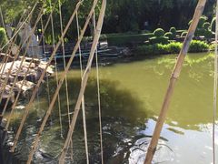 -东芭乐园
