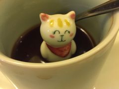 -猫色咖啡·猫咖