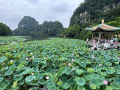 -星湖旅游景区七星岩