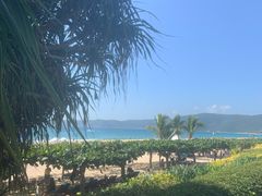 -三亚亚龙湾天域度假酒店