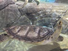 -福州罗源湾海洋世界旅游区