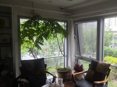 -精德口腔·种植修复·儿牙中心(财富中心店)
