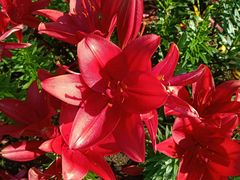 -长春公园(普阳街道)