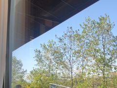 -宝荣鱼馆·临湖之宴(千岛湖店)