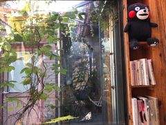 -METAL HANDS(五道营店)
