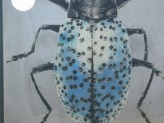 -Green Option(官舍店)