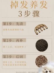 -Bollins波林丝•专研护发中心