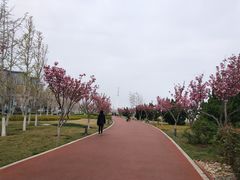 -东港音乐喷泉广场