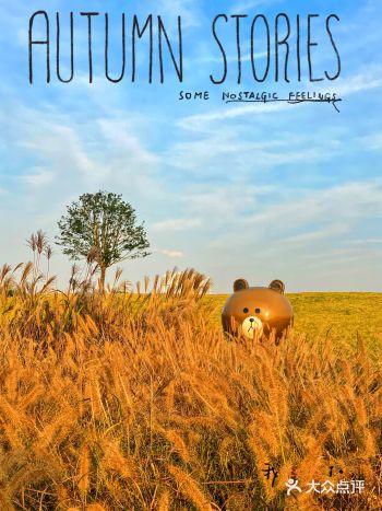 江阴攻略｜粉黛、芦苇、格桑…这里的秋太美了