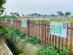 -击水俱乐部