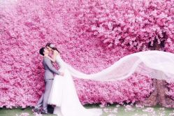 -拾尚映画·STUDIO婚纱摄影(中关村店)