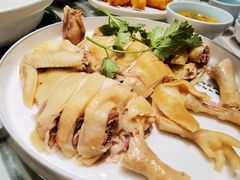 -龙泉人椰子鸡.糟粕醋.海南菜(三亚旗舰店)