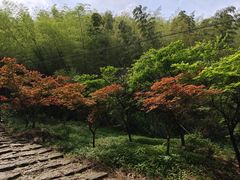 -仙霞关景区