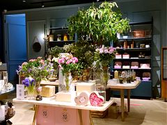 -BEAST野兽派(上海浦东嘉里城店)