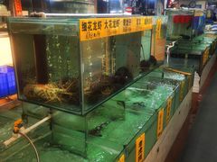 -寻味顺德·南记酒家·传统顺德菜·鱼生(广源路店)