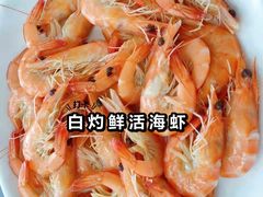 -七鲜渔港美食餐厅(巽寮湾海景店)