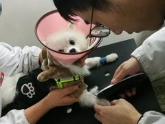 -成都民大动物医院