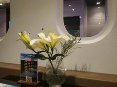 -赫帝拉航空主题餐厅(南宁店)