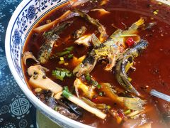 -青城甲(青城山店)