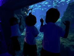 -海合安武汉极地海洋公园