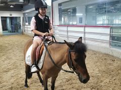 -李振强马术运动推广中心(南城店)