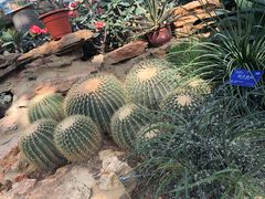 -国家植物园南园