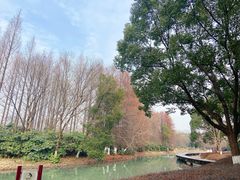 -昆山城市生态森林公园