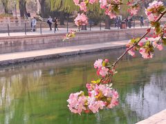 -海棠花溪(元大都城垣遗址公园)