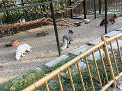 -合肥滨湖国家森林公园