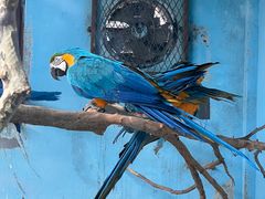 -济南野生动物世界