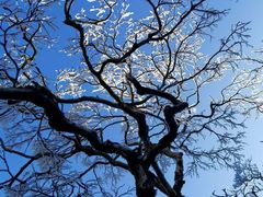 -萍乡武功山风景名胜区