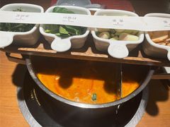 冬阴功锅底-生如夏花泰式火锅(鹭洲里店)