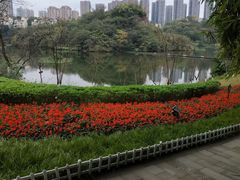 -重庆彩云湖湿地公园