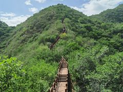 -大岭沟猕猴桃谷风景区