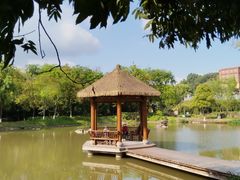 -张坝桂圆林公园