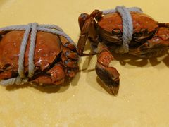 -一绪に寿喜烧(虹悦城店)