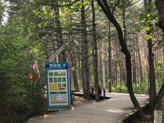 -帽儿山国家森林公园